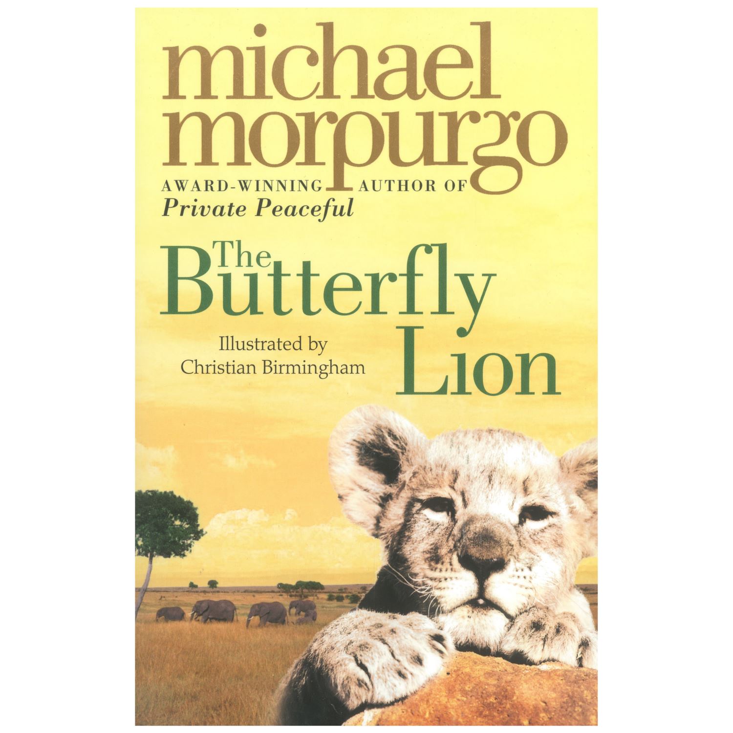 The Butterfly Lıon