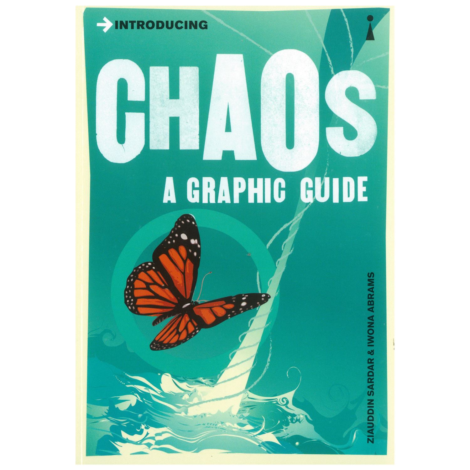 Introducing Chaos: A Graphic Guide