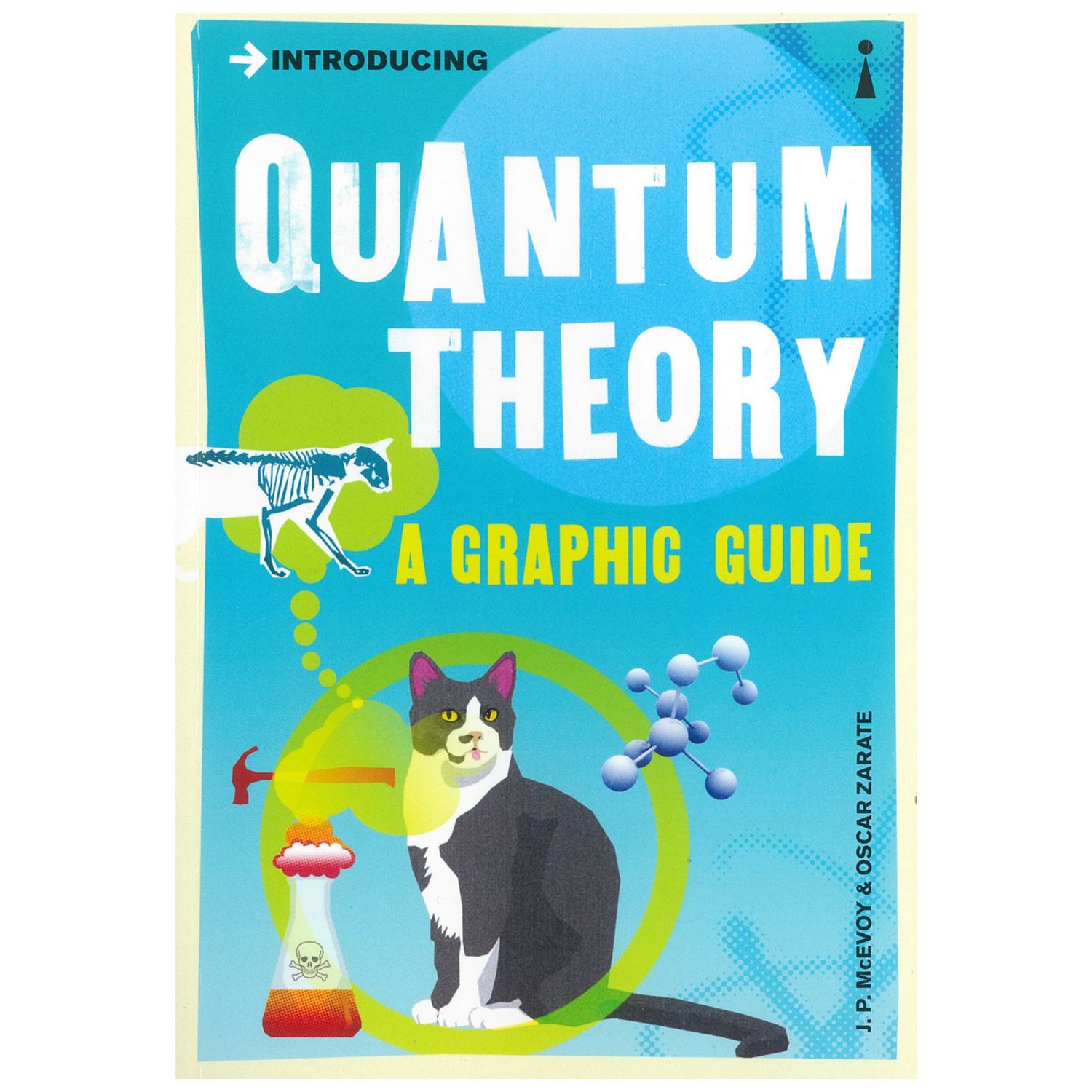 Bangzo Books Introducing Quantum Theory: A Graphic Guide 1