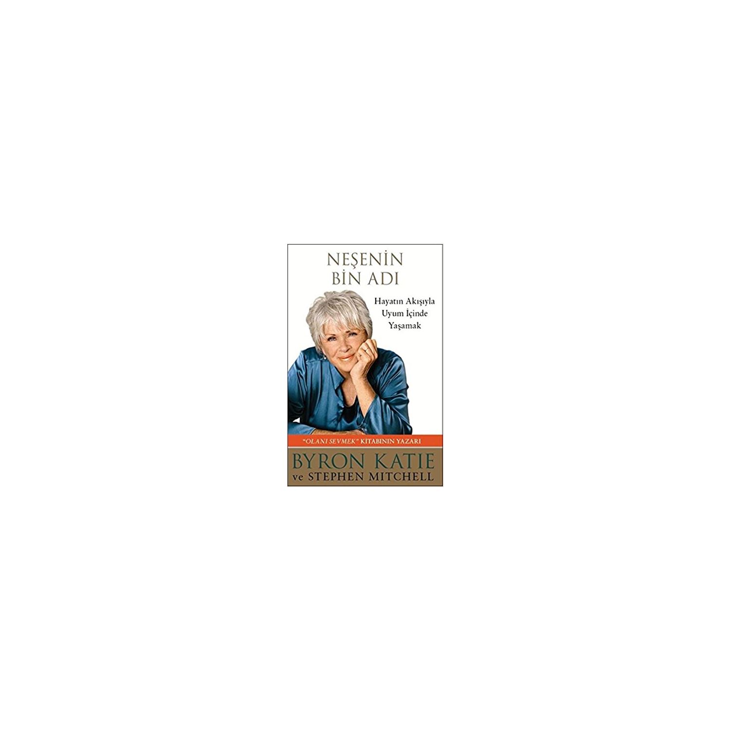 Butik Yayınları Neşenin Bin Adı Book