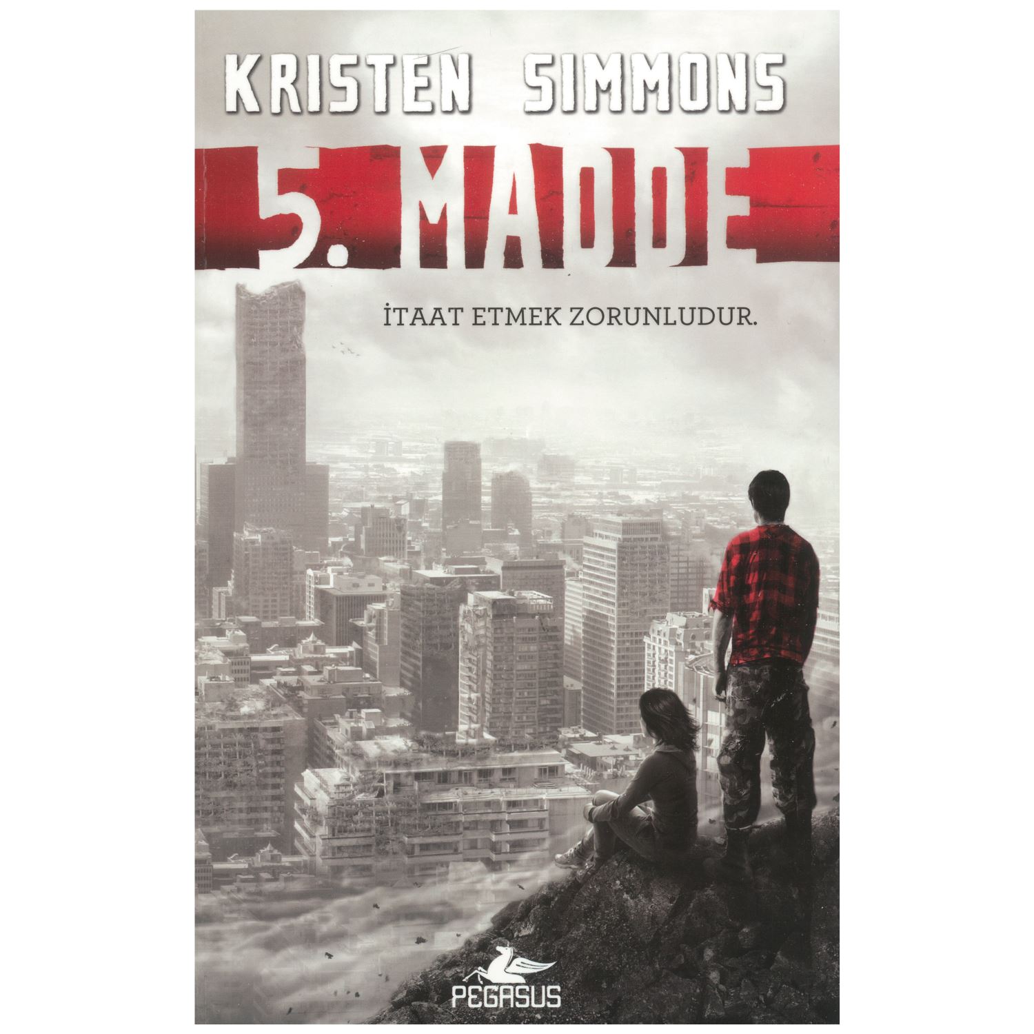 Pegasus Yayınları 5. Madde Roman
