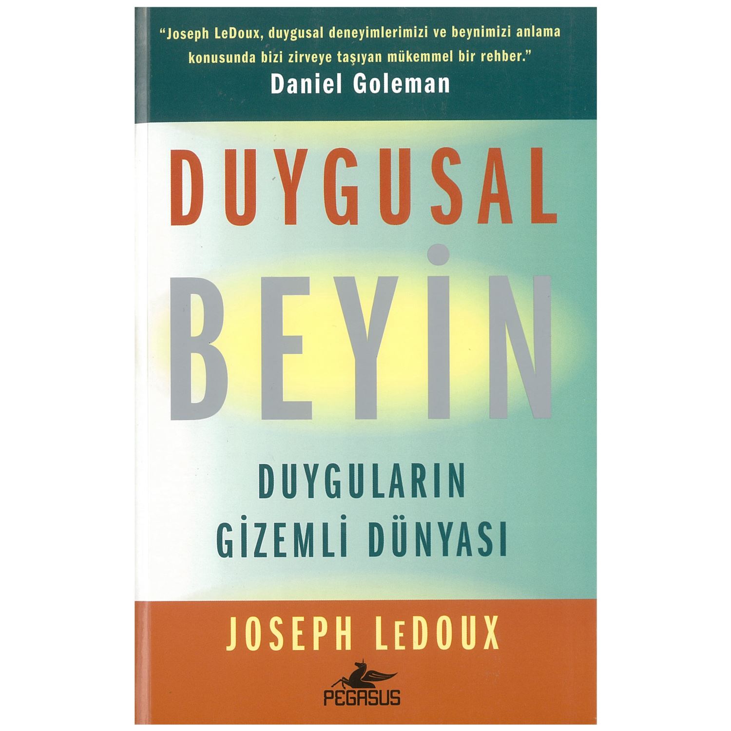 Duygusal Beyin