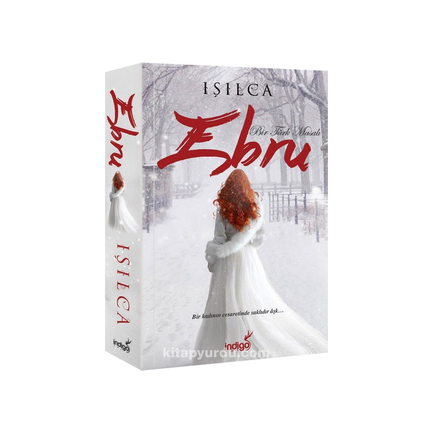 Ebru Bir Türk Masalı