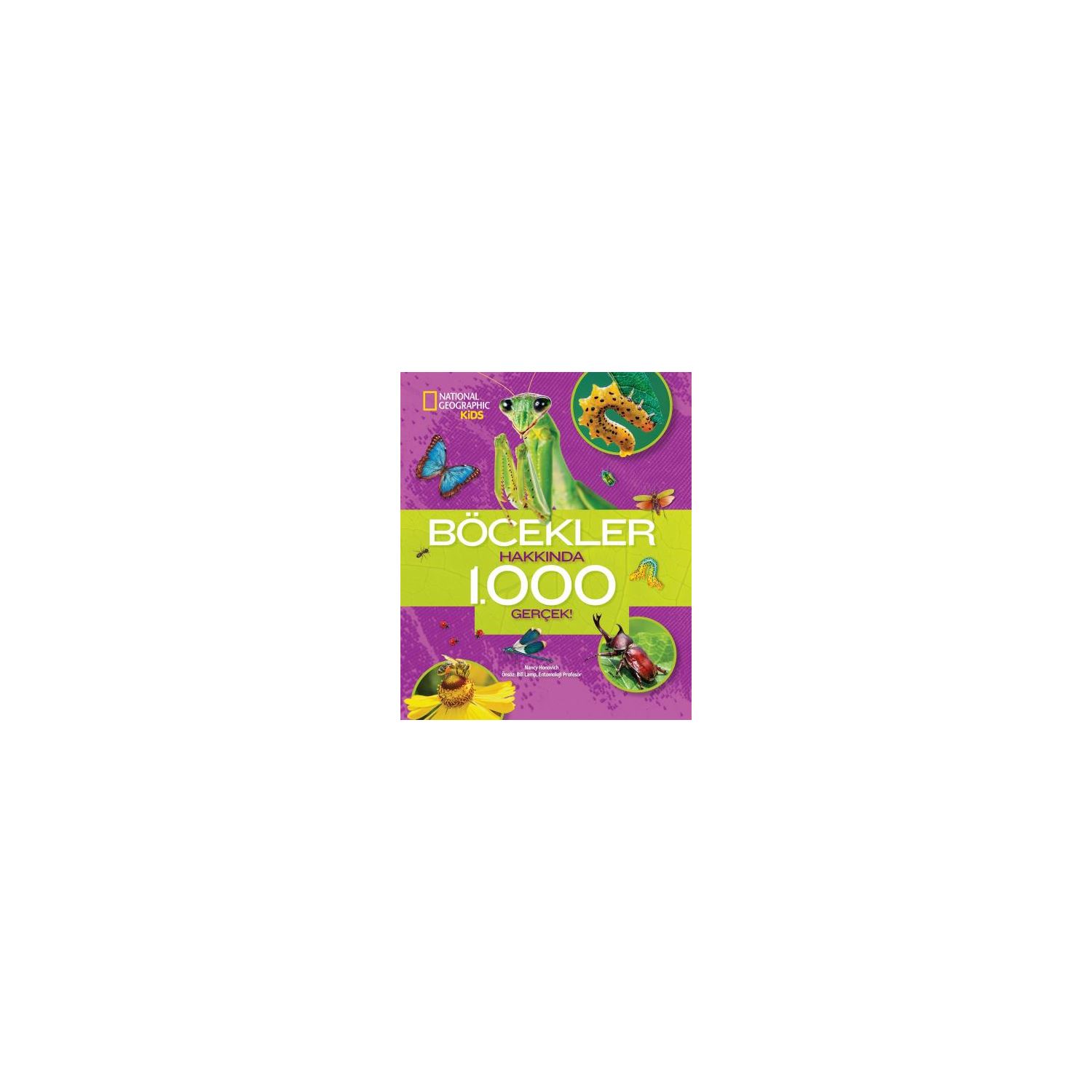Beta Yayınları 1000 Facts About Insects Book