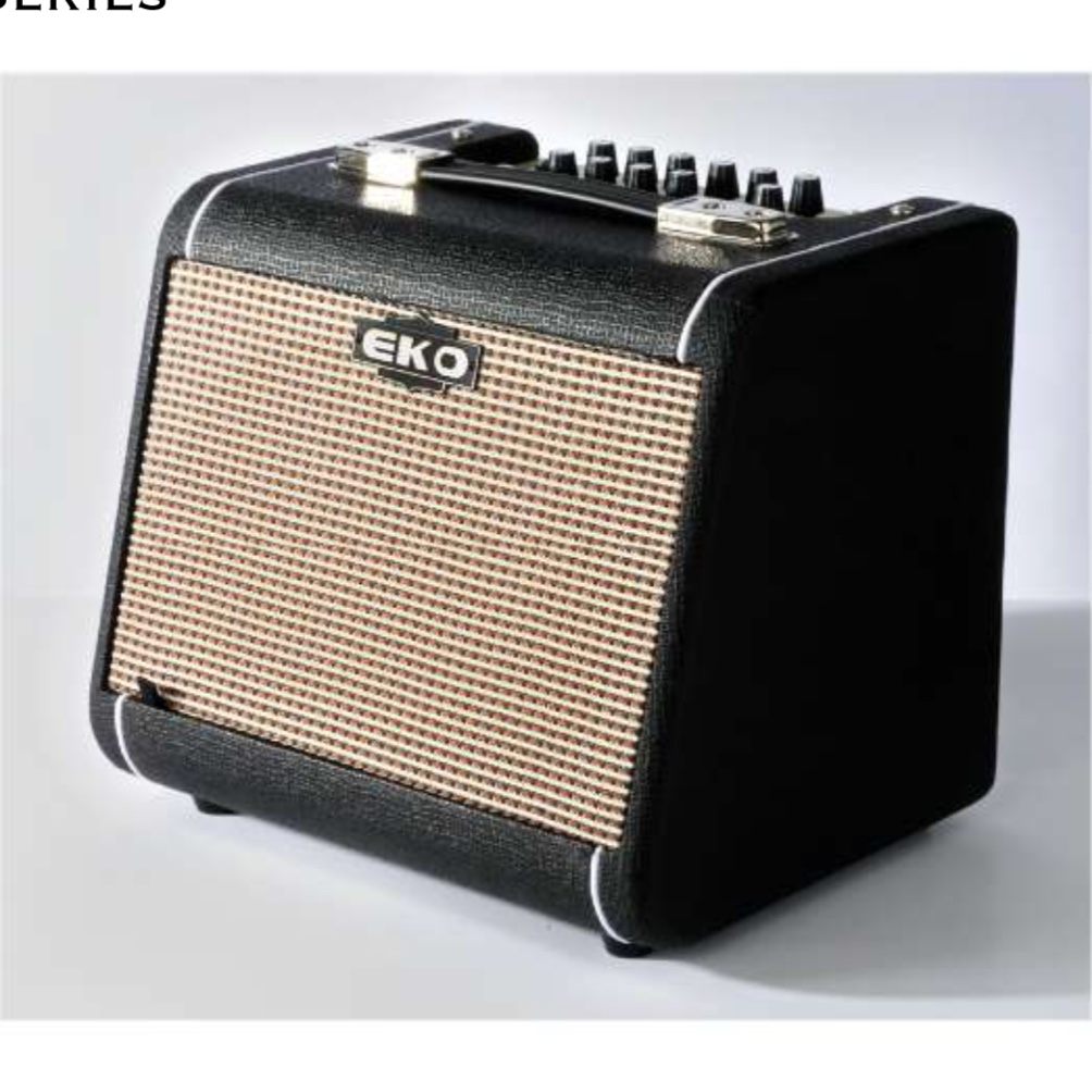 Eko AC60 60 W Acoustic Guitar Amplifier