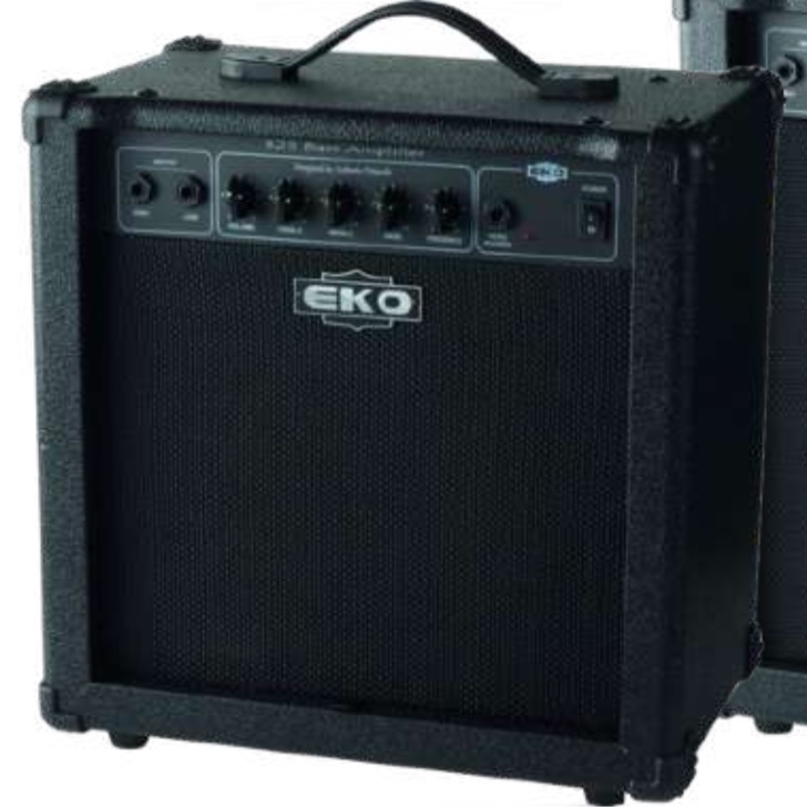 Eko EKO-B50 50 W Bass Guitar Amplifier