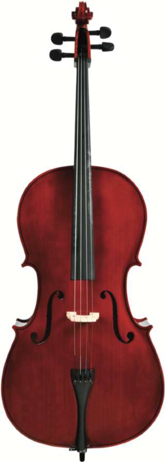 Eko Bowed Student Cello EBC 6012 4/4