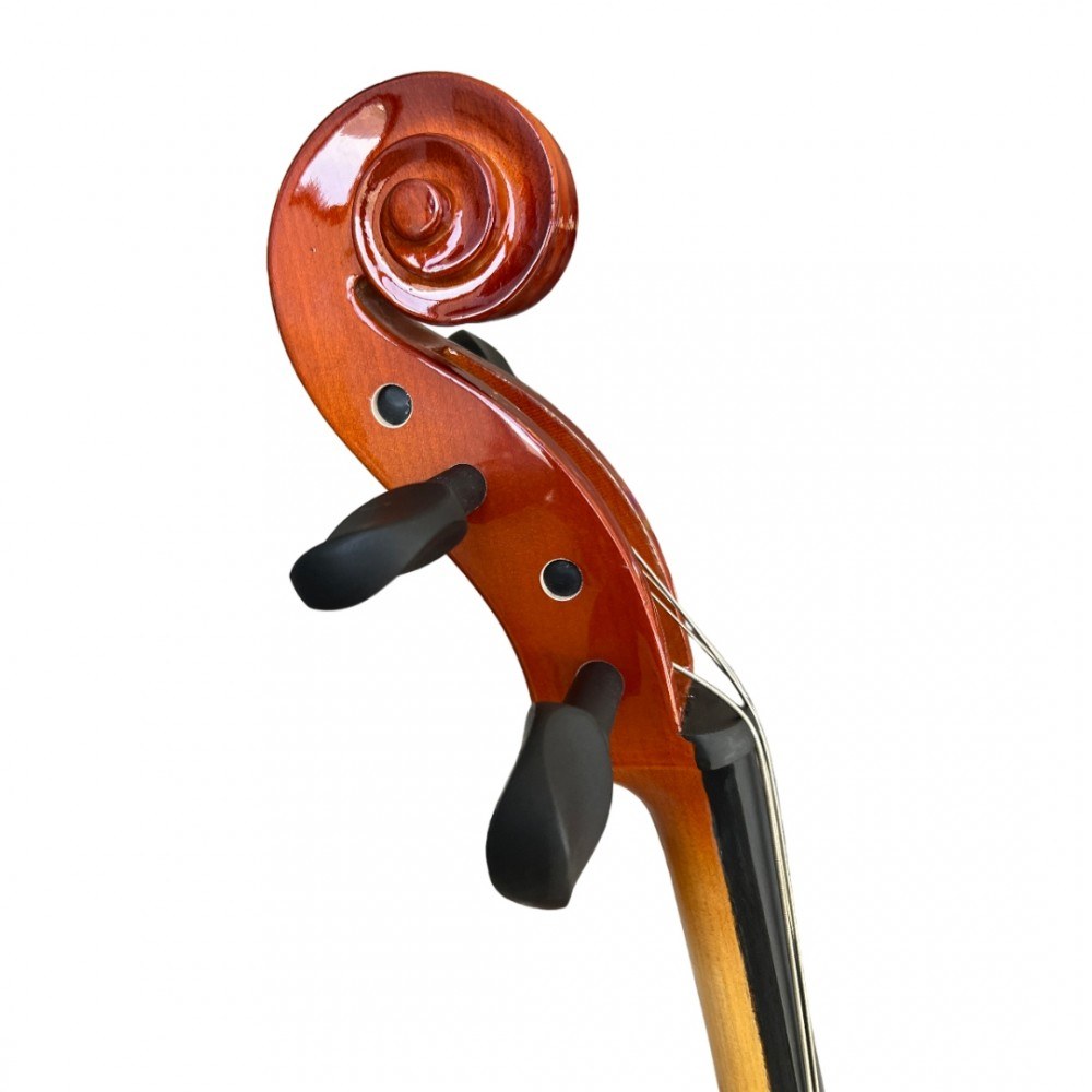 Eko Bowed EBC6012-3/4 3/4 Student Cello