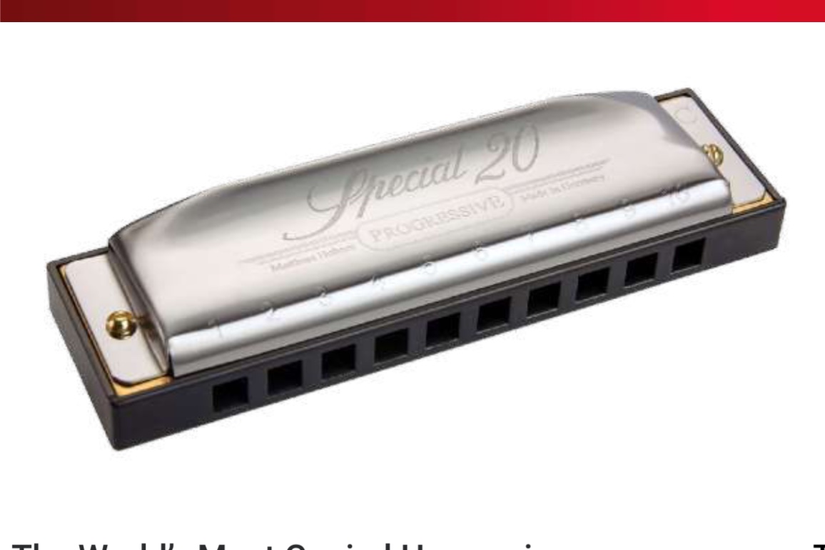 Hohner Special 20 Mızıka A