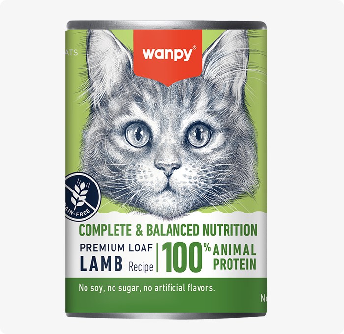 Wanpy Complete and Balanced: влажный корм для кошек с ягнёнком, 375 г