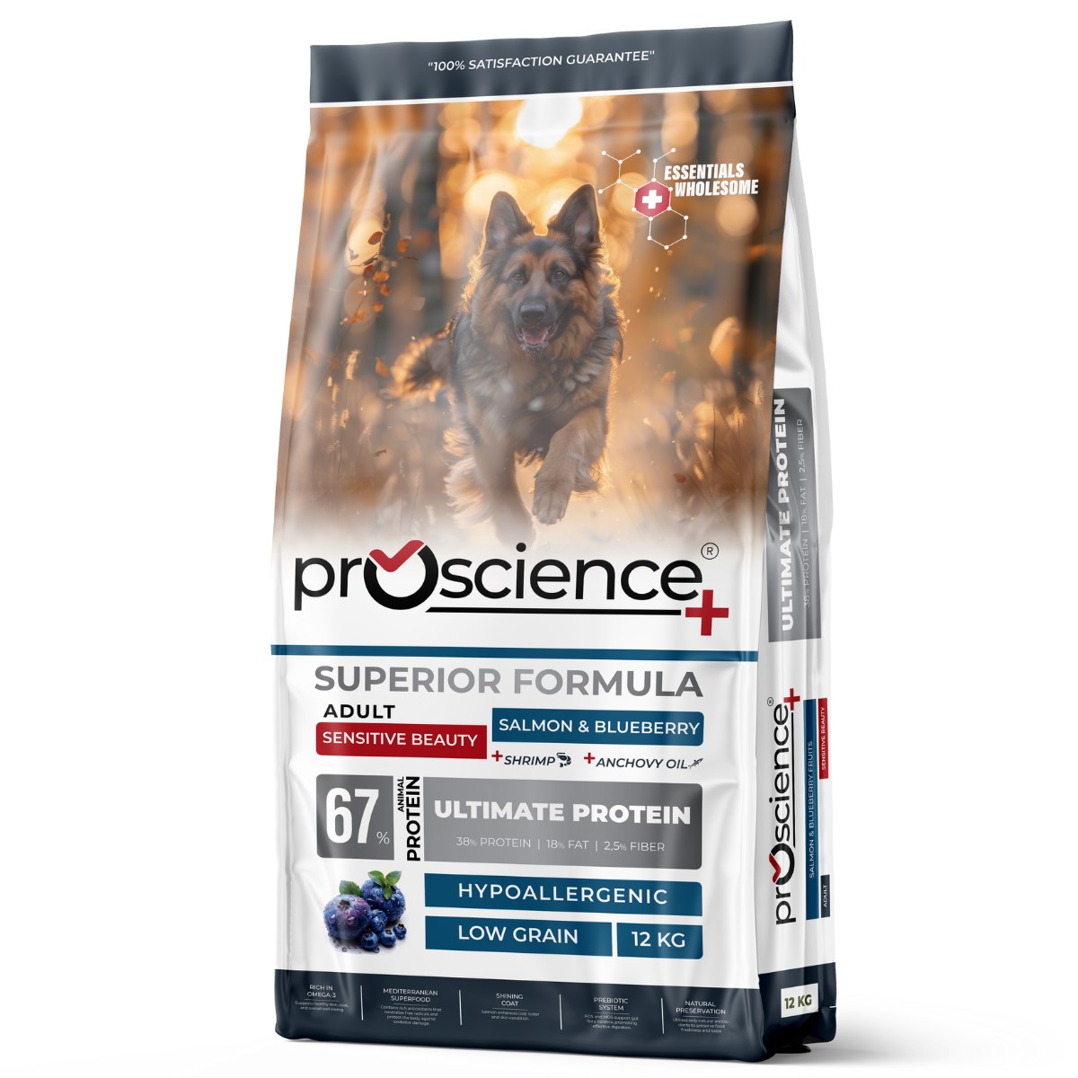 Adult Dog Salmon & Blueberry 12 kg