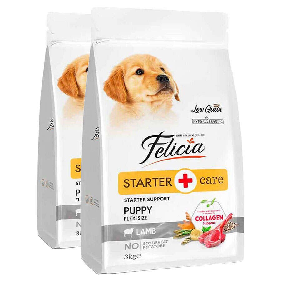 Puppy Starter Lamb and Rice Puppy Dog Food