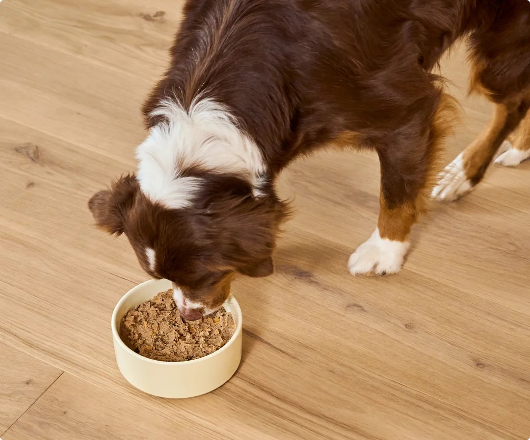 Dogs Favorite Chunks with Chicken Happydog Conserve