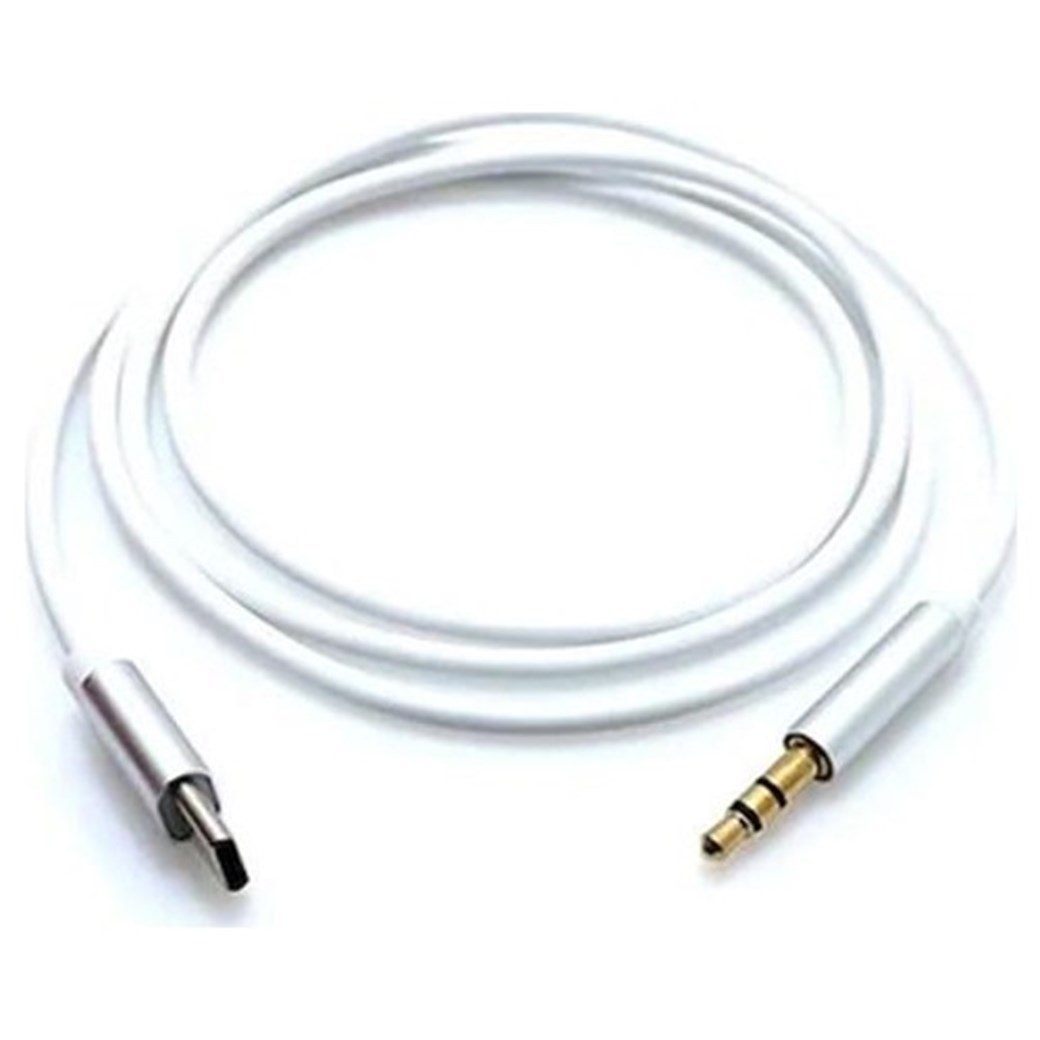 Sunix Kablo AUX-AC06 Type-C