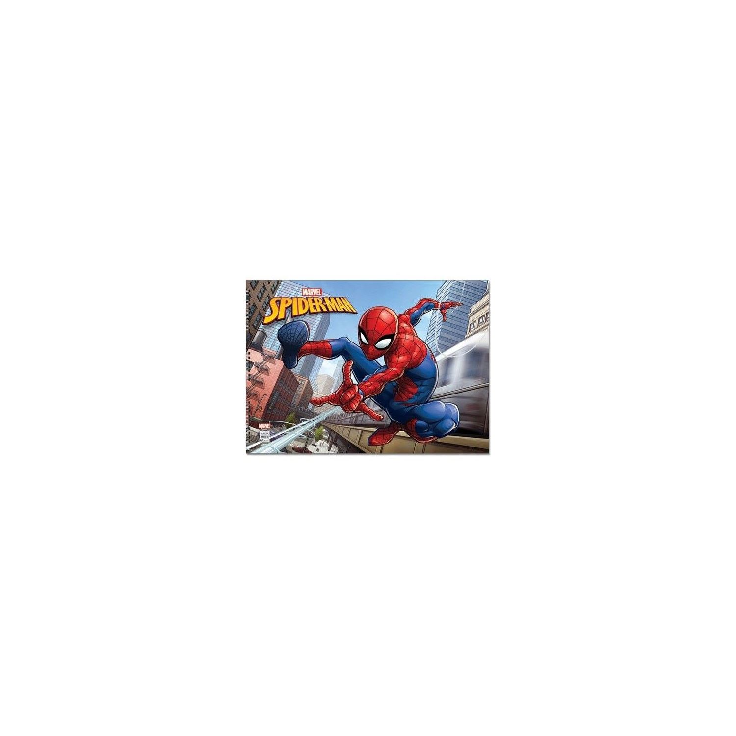 Spider 35x50 15 Yp.Resim Defteri