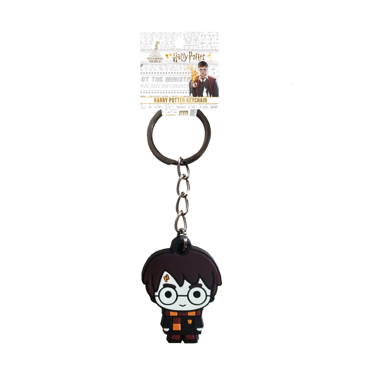 Wizarding World Harry Potter Keyring SCD006