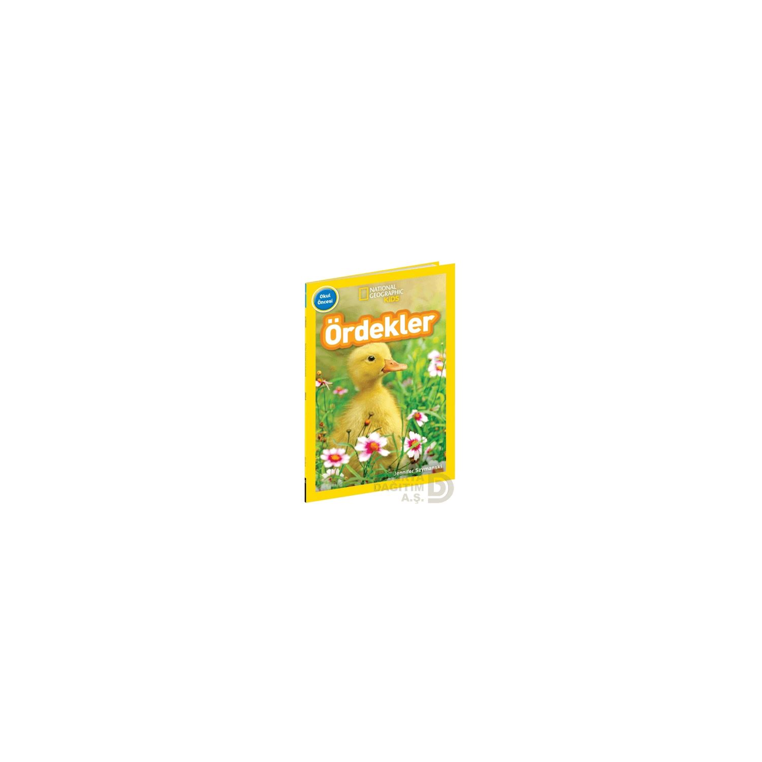 beta Kids Preschool Ducks Children's Book, Board Cover