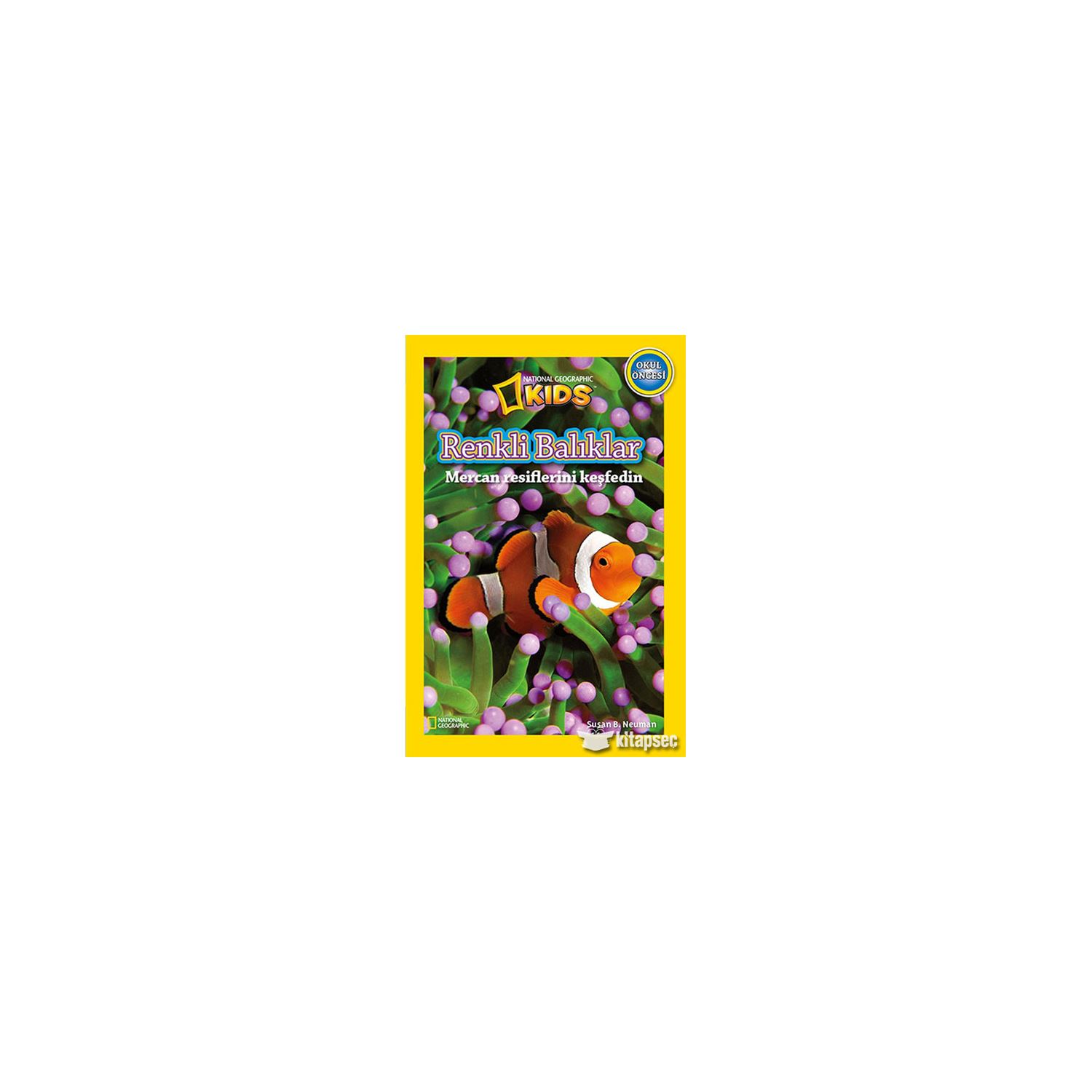 beta Kids Renkli Balıklar Preschool Children's Book, Board Cover