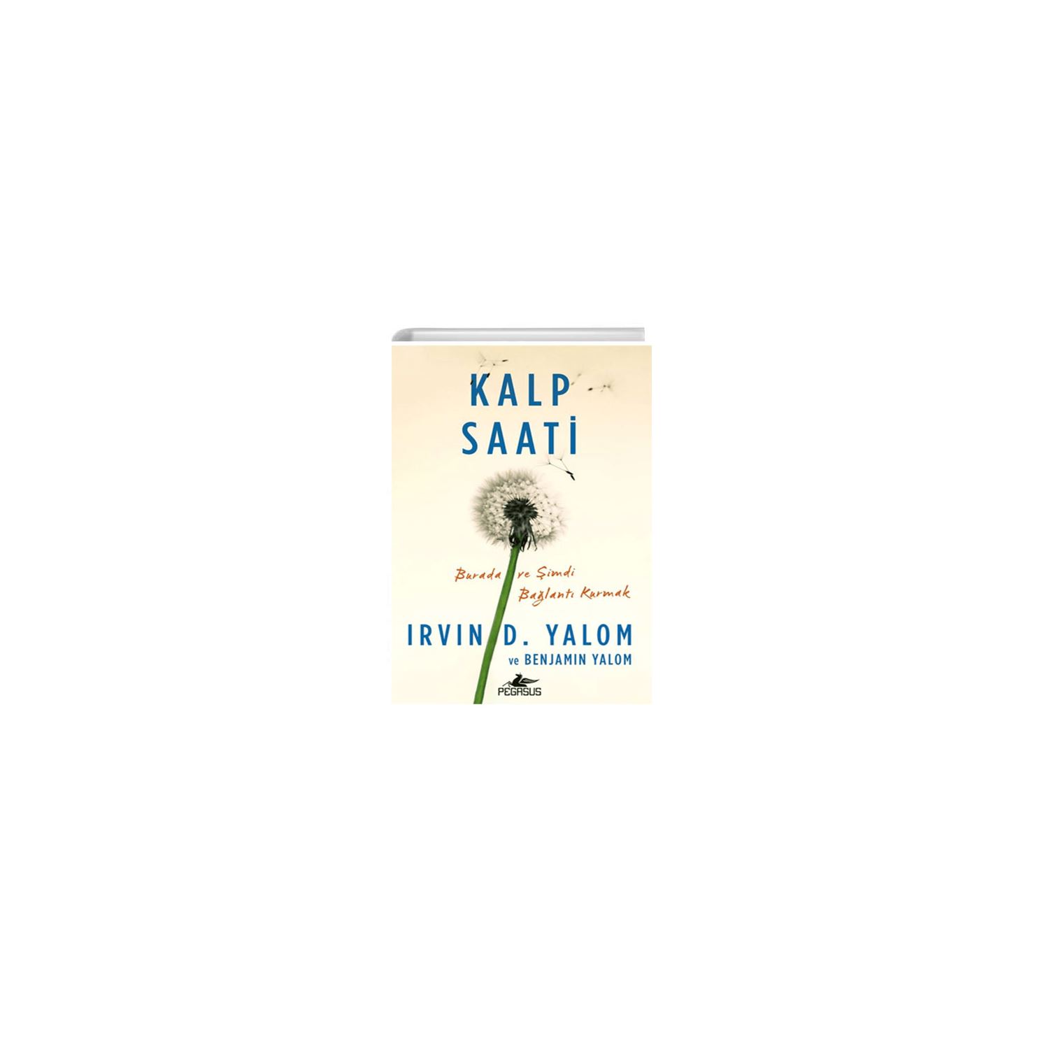 Pegasus Yayınları Kalp Saati — роман