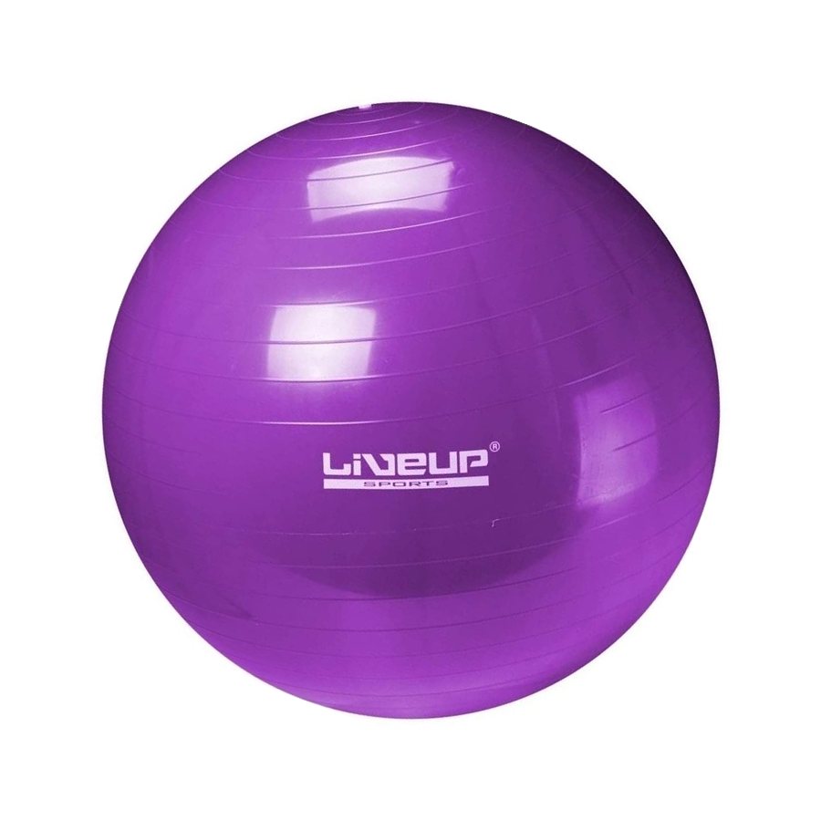 Protech PTEC-3222MR65CM Exercise Ball, 65 cm, Purple