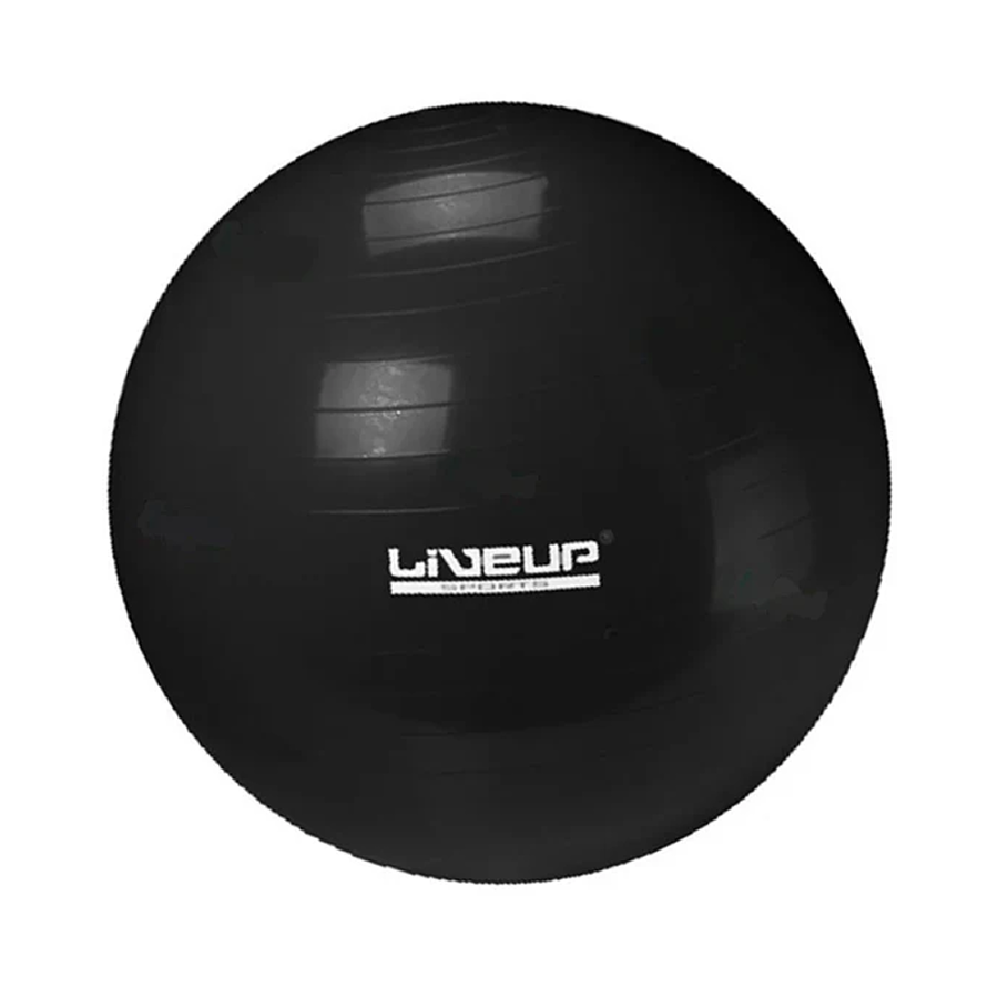Protech PTEC-3222S65CM Exercise Ball, 65 cm, Black
