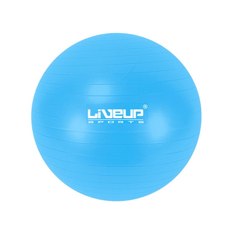 Protech PTEC-3222M55CM 55 cm Blue Exercise Ball