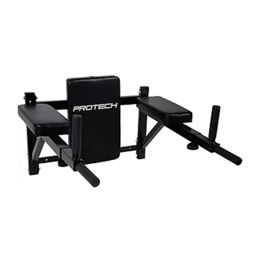 Protech PTEC-TC DIPS Wall-Mounted Dip Machine