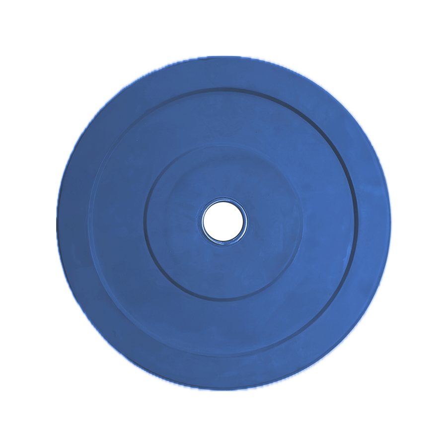 Protech 100528 20KG: диск для штанги, 20 кг, синий