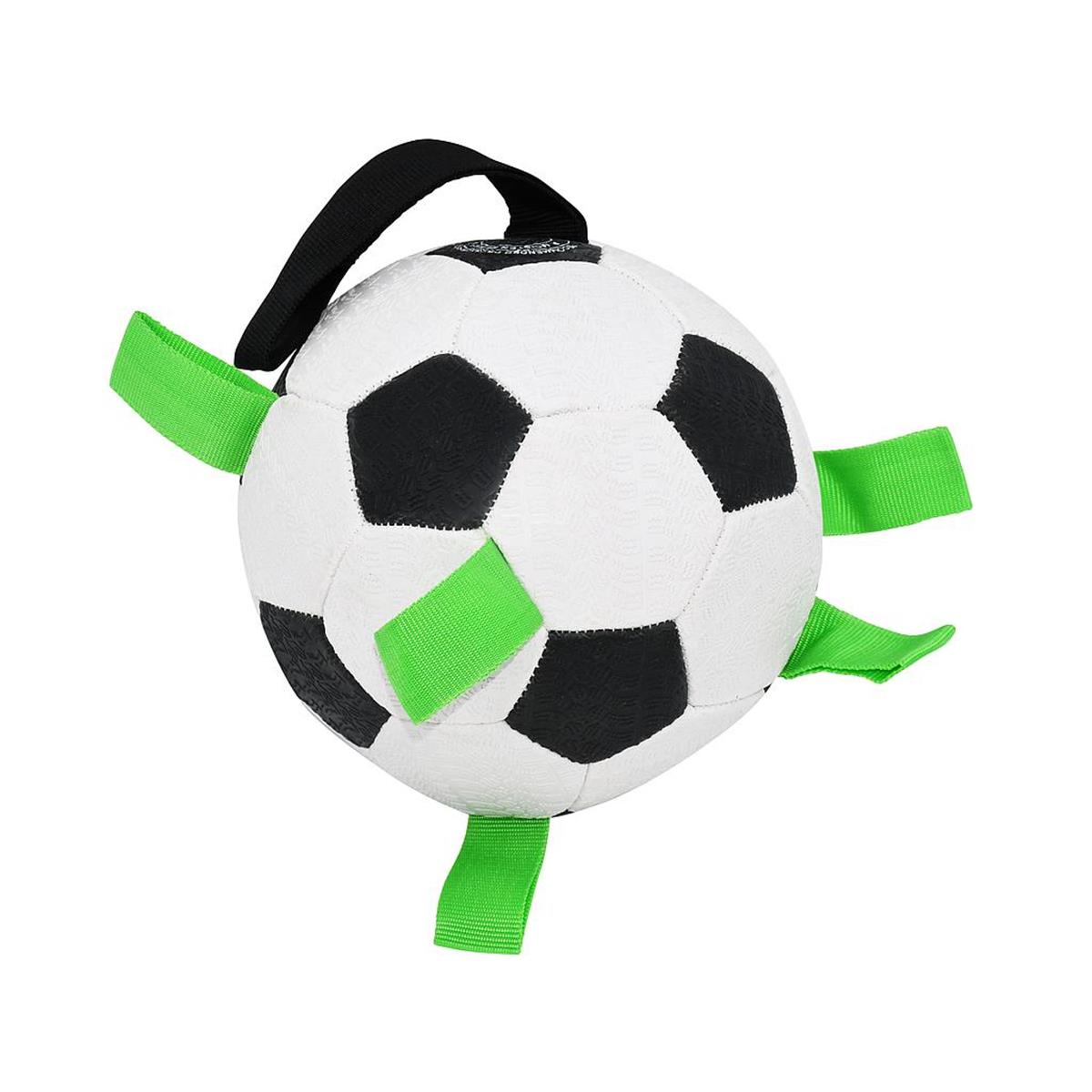 Top Köpek İçin Futbol 6.5