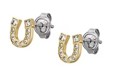 Fossil JF04908-710 Gold Earrings