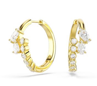 Swarovski Mesmera 5761975 Gold Earrings