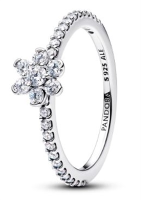 Pandora 194499C01 Silver Ring