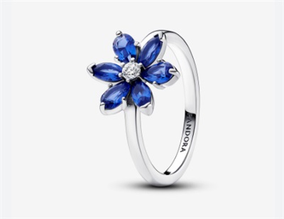 Pandora 193000C01 Yüzük Gümüş