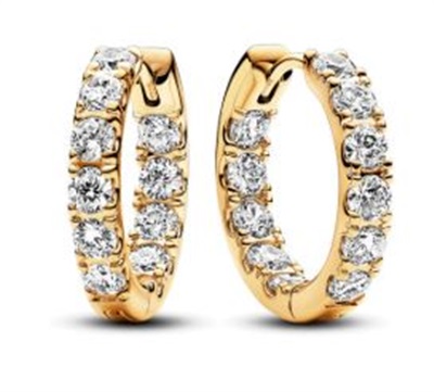 Pandora 263002C01 Küpe Altın