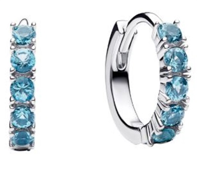 Pandora 293849C01 Silver Earrings