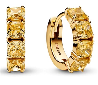 Pandora 263851C02 Küpe Altın