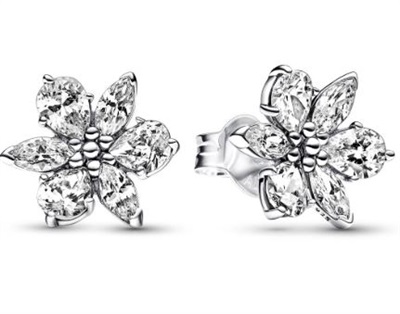 Pandora 292633C01 Küpe Gümüş