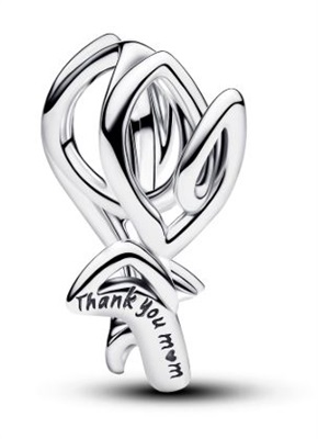 Pandora 794488C00 Silver Charm