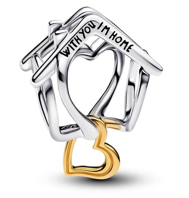 Pandora 764145C00 Charm Gümüş