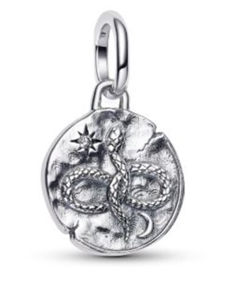 Pandora 793976C01 Charm Gümüş