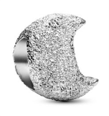 Pandora 794054C00 Silver Charm