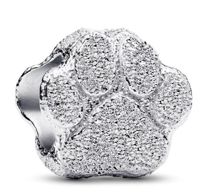 Pandora 794043C00 Charm Gümüş