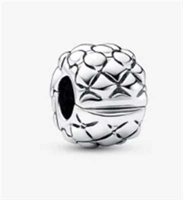 Pandora 792746C00 Charm Gümüş