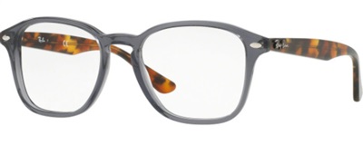 Ray-Ban RX5352 Optik Gözlük Füme 5629