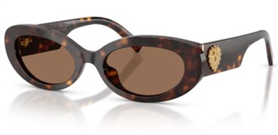 Dolce Gabbana DG4537 502/73 Brown Sunglasses
