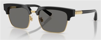 Dolce Gabbana DG4522 Sunglasses Black 501/1