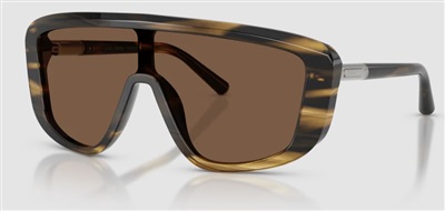 Dolce Gabbana DG4520 502/73 Brown Sunglasses
