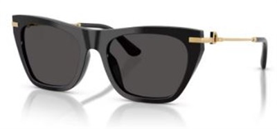 Dolce Gabbana DG4511 Sunglasses Black 501/87