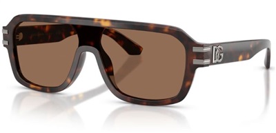 Dolce Gabbana DG4507 502/73 Brown Sunglasses