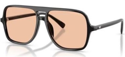 Emporio Armani EA4252U Black Sunglasses 501793